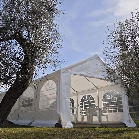 Marina dʼAndora Appartamento Alba Dachi Farm מראה חיצוני תמונה