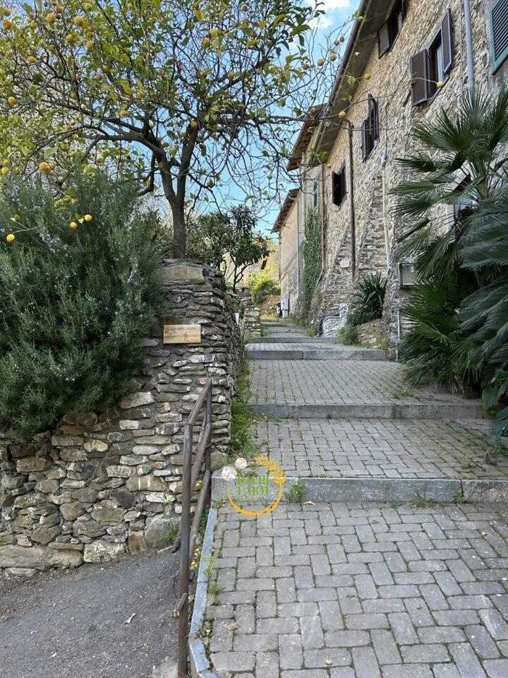 Marina dʼAndora Appartamento Alba Dachi Farm מראה חיצוני תמונה